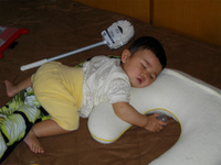 昼寝 2011/04/05 13:33:37