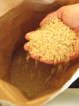 有機栽培玄米