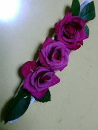 ～薔薇～ 2010/06/08 20:29:44