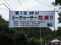 大宜味村押川の祭りに行ってきました。
