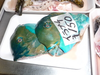 泊のお魚屋さんへ行って来ました。