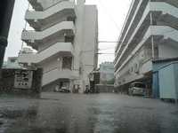 雨雨・・・