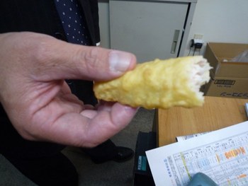 いただきもの
