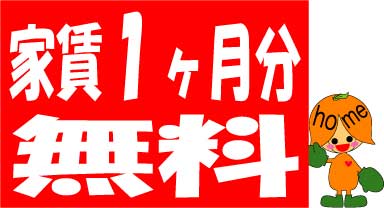 キャンペーン！