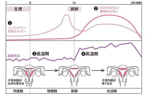 生理についての話し 生理についての話し
