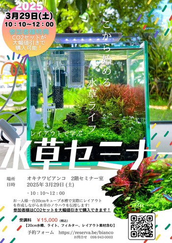 希少!タマゴケ&コウヤノマンネングサ入荷しました! 希少!タマゴケ&コウヤノマンネングサ入荷しました!