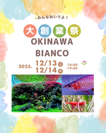 今年もやります！大創業祭！ │ ペットボックス沖縄ビアンコのスタッフ