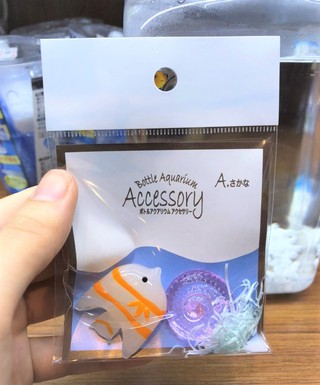 水槽のアクセントに可愛いアイテムはいかが ペットボックス沖縄ビアンコのスタッフブログ