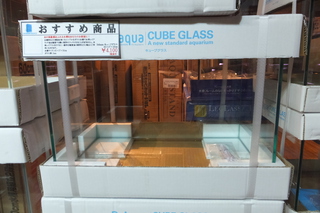 ADAキューブガーデン&Do!aquaキューブグラス入荷しました！ │ ペット