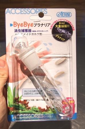 プラナリアに困ったら・・・プラナリア捕獲器！ │ ペットボックス沖縄