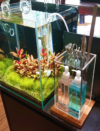 絶対重宝する！メンテナンスボックス │ ペットボックス沖縄ビアンコの 
