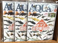 アクアライフ№546・2025年1月号が入荷しました！