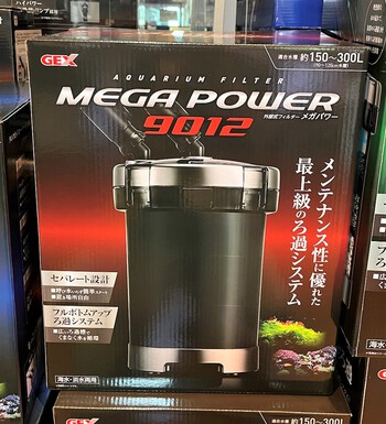 Gexメガパワー特価で販売中 ペットボックス沖縄ビアンコのスタッフブログ Gexメガパワー特価で販売中 ペットボックス沖縄ビアンコのスタッフブログ