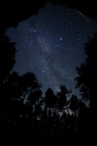 ペルセウス座流星群 2013/08/12 21:23:01