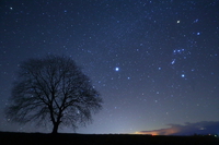 星空と共に 2014/01/19 20:19:36