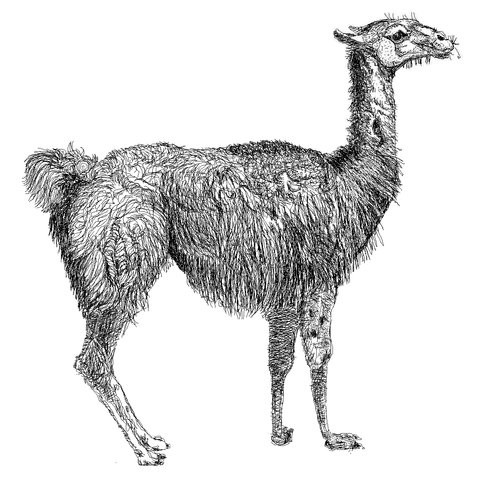 Perl 真偽判定 それと 否定演算子 0x0d Perl Perl 0 Blog20100901