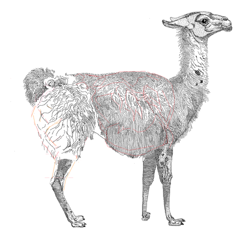 Perl 「 モジュール 」CGI.pm Introduction (0xaf)