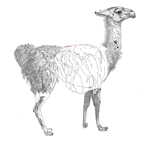 Perl リファレンス 00 サブルーチン 配列の引数 デリファレンス D003 Perl Perl 5 リファレンス Blog20100901