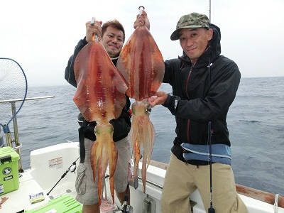 ワイルドで烏賊・・・食