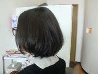 ボブです！ 2013/03/06 15:07:41