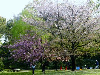 庭園めぐり