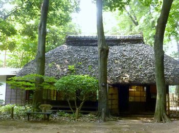 蘆花恒春園