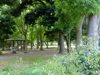 蘆花恒春園