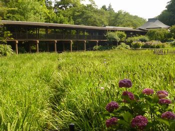 本土寺