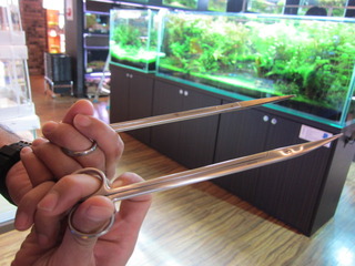 簡単水草トリミング講座（有茎草編）✄