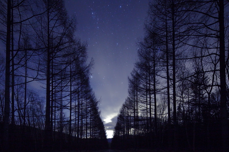 星空へ続く道
