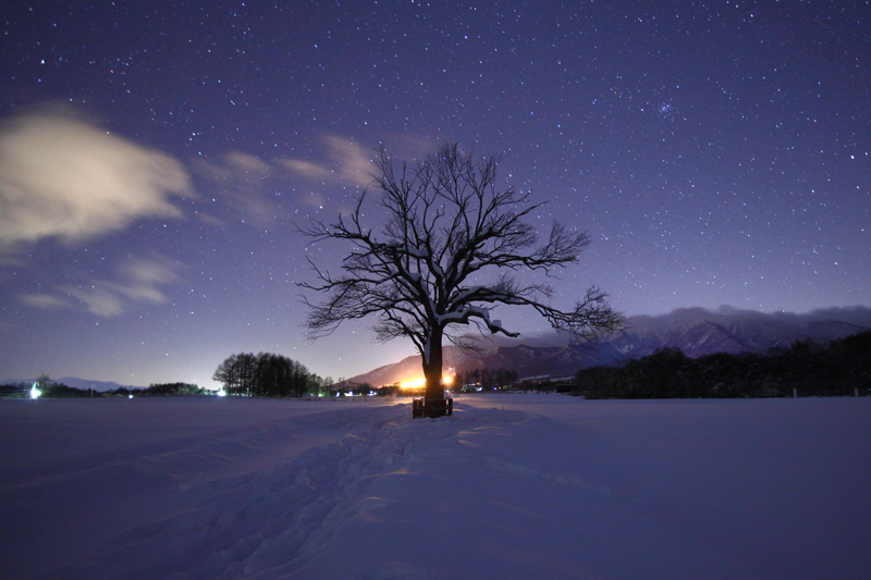 降雪の薄明