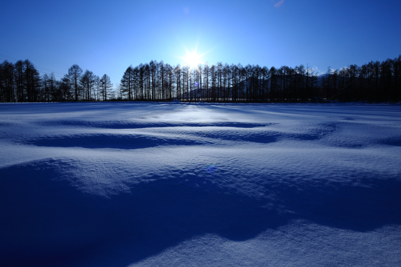 雪景色