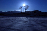月夜の雪原にて 2011/04/03 22:40:31