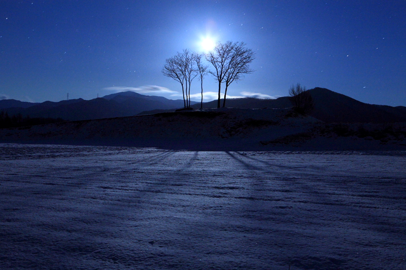 月夜の雪原にて