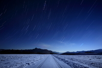 月夜に舞う白鳥座 2011/04/04 18:55:01