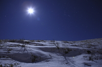 雪原に登る冬の大三角とオリオン座 2012/01/23 07:30:00