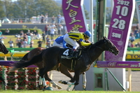 秋競馬2012