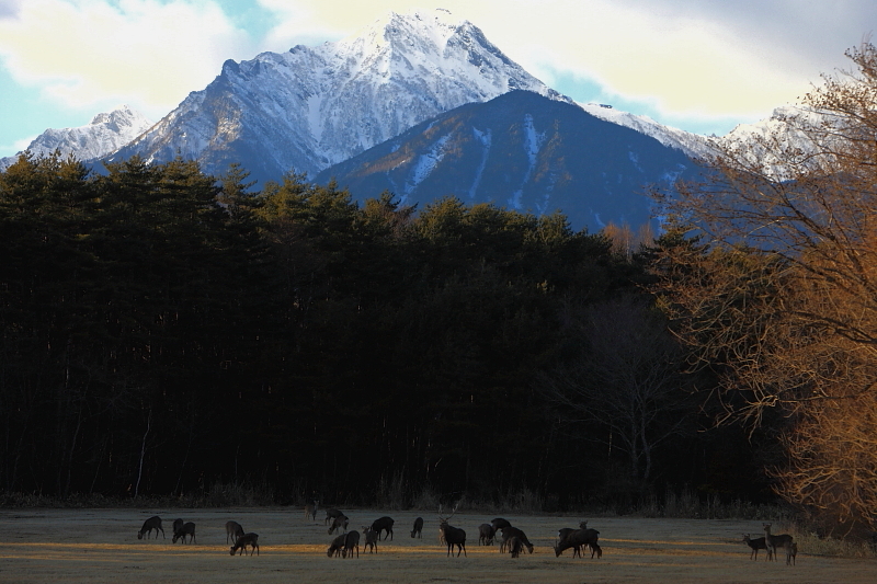 山間の夕方