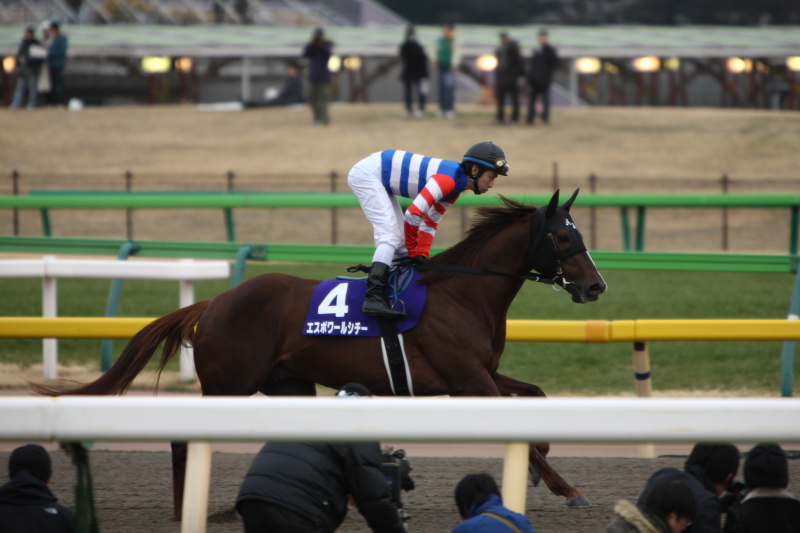 G１開幕！第２７回 フェブラリーステークス