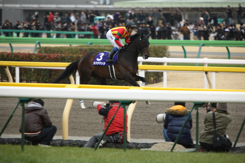 G１開幕！第２７回 フェブラリーステークス