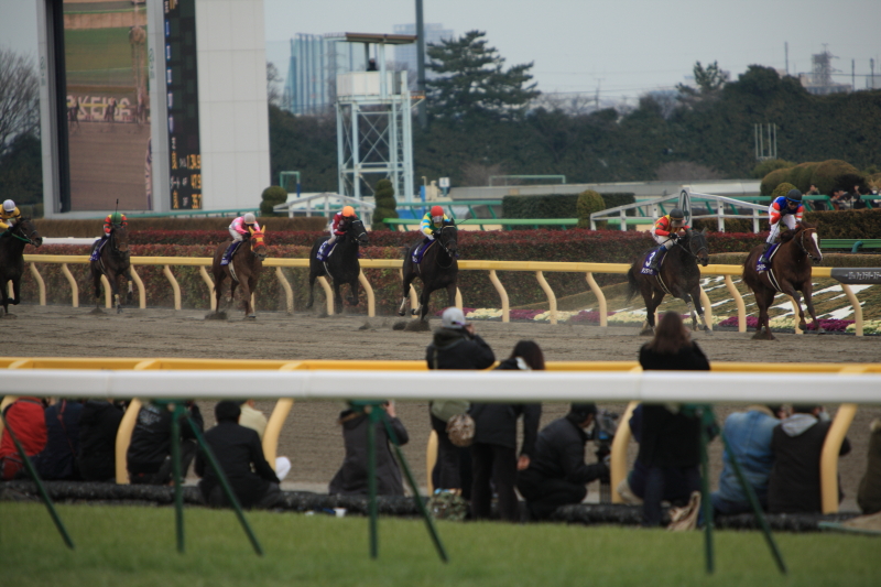 G１開幕！第２７回 フェブラリーステークス