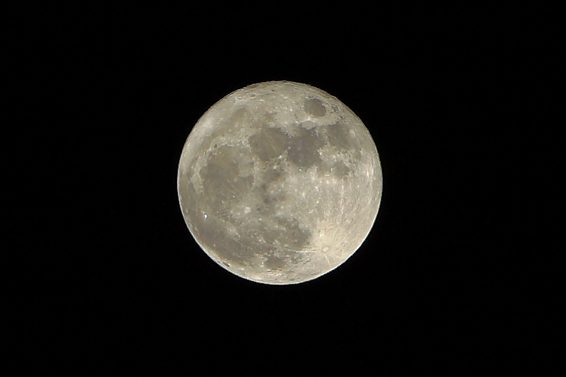 Blue Moon