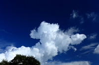 夏を想う雲 2012/08/18 16:38:56