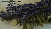 香りに癒されて 2011/04/10 11:06:42