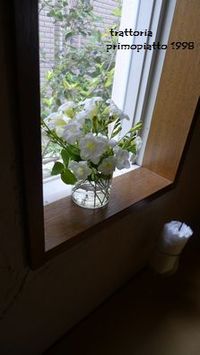 小庭の花達 2011/05/16 08:17:03