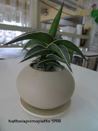 もうすぐ父の日ですね。 2011/06/15 08:26:59
