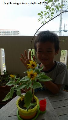 休みに入ります。