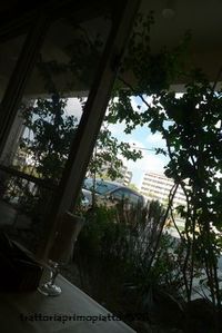 小庭 2011/09/08 09:23:32