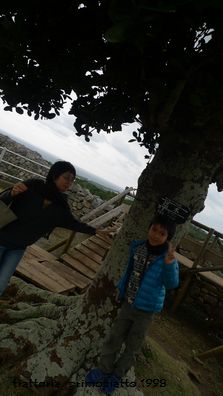 ザ、城跡めぐり。