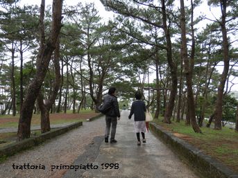 ザ・城跡めぐり。レモンの花。